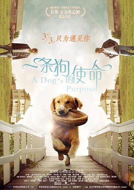 久久免费国产